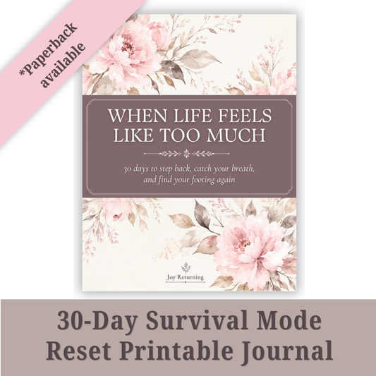 When Life Feels Like Too Much Journal Cover
